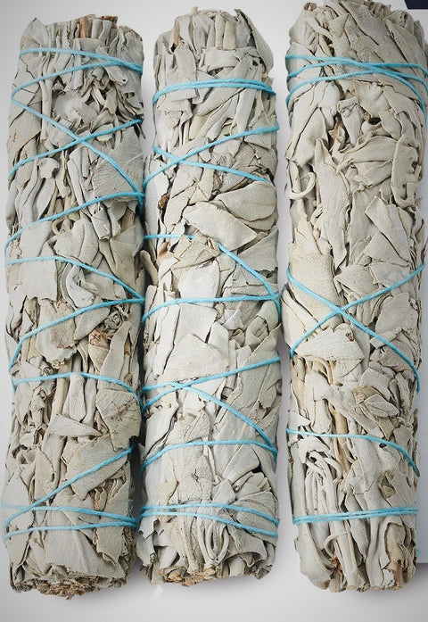 White Sage Smudge stick Medium 15cm