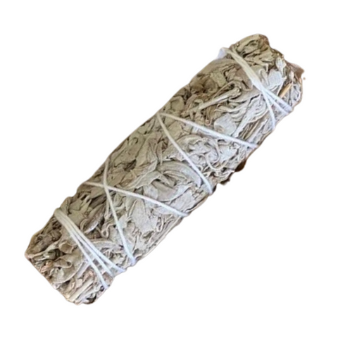 Saltco Californian White sage smudge med