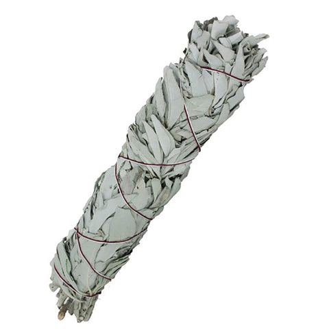 Saltco Calafornian White sage smudge med