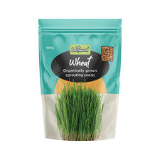 Untamed Health Wheat Sprouting Seeds