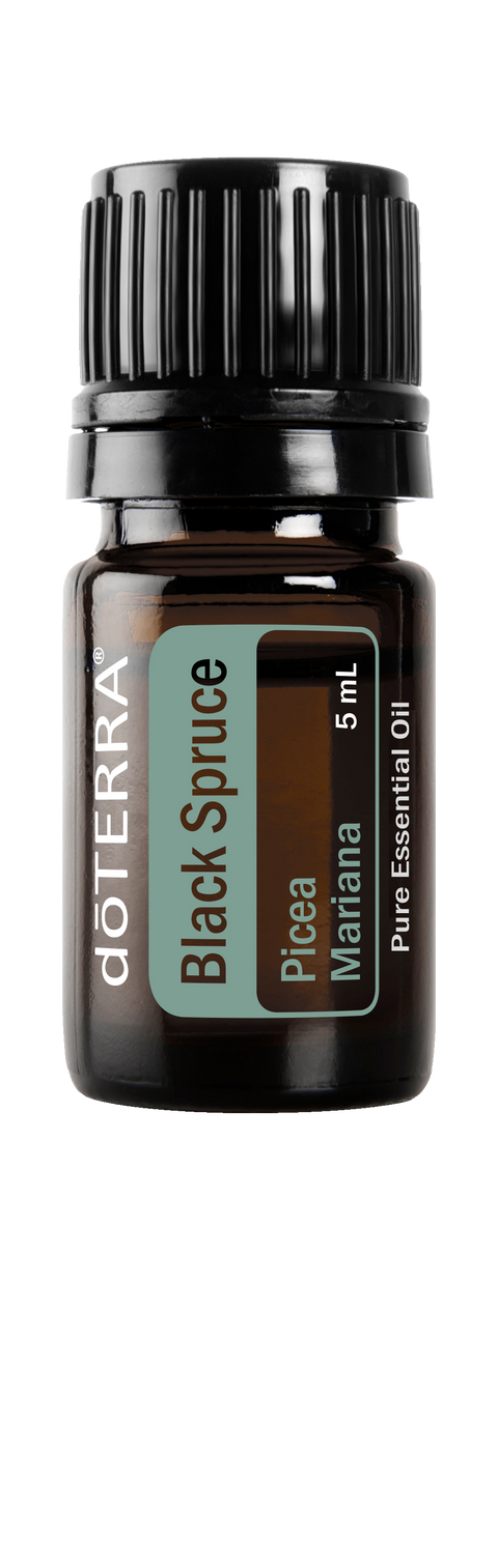 Black Spruce 5ml