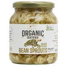 Chefs Choice Bean Sprout 330g