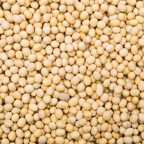 Soy Beans