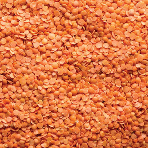 Red Lentils